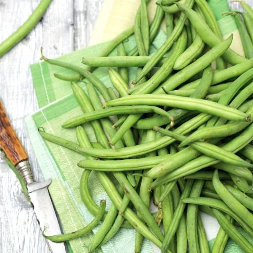 Greens Sliced Green Beans 4x2.5kg