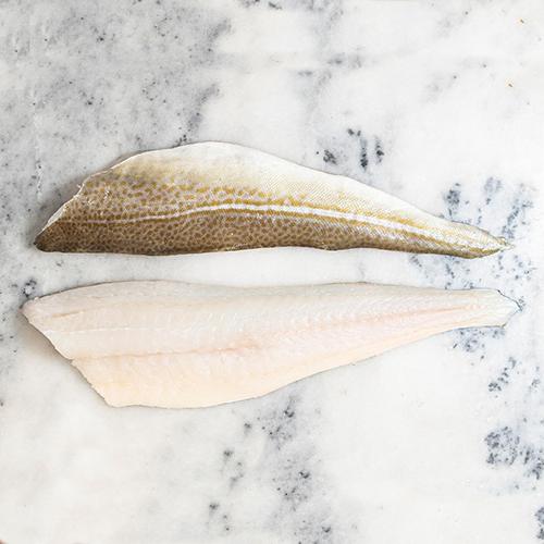 Cod Fillet 230-290 1x15 