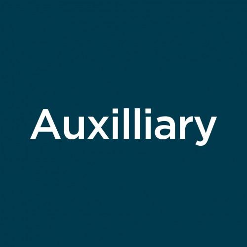Auxiliary