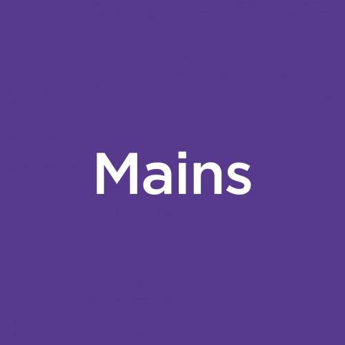 Mains