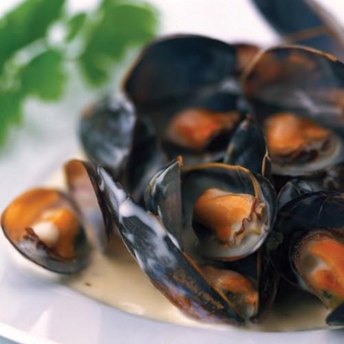 Mussels