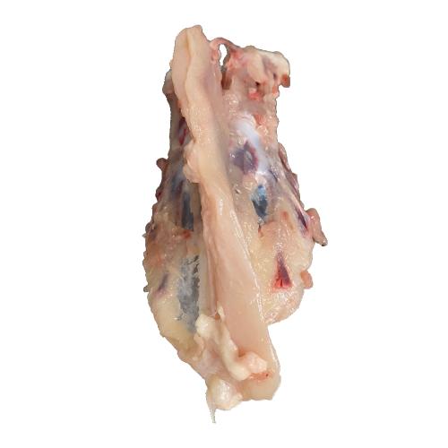 Fresh Chicken Carcasses 1x10kg