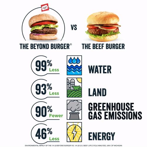 Beyond Burger 40x113g
