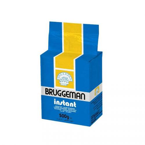 Bruggeman Instant Yeast 20x500g