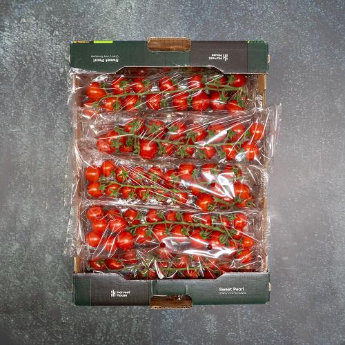 First 4 Fruit Cherry Plum Vine Tomatoes 10's