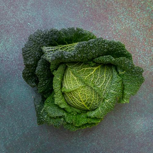 First 4 Fruit Savoy Cabbage (Each)