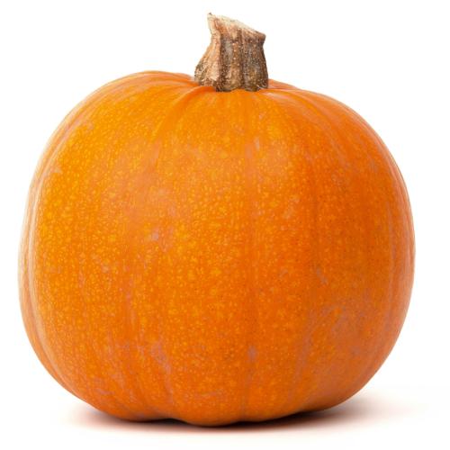 Pumpkins Large 70x1 (19-25cm) Not Splittable *Pre-Order*
