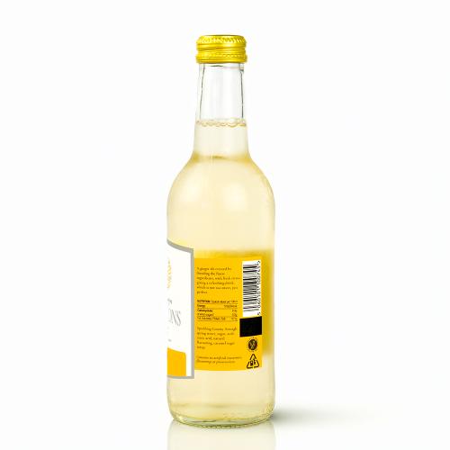 Troughtons Irish Ginger Ale 24x330ml