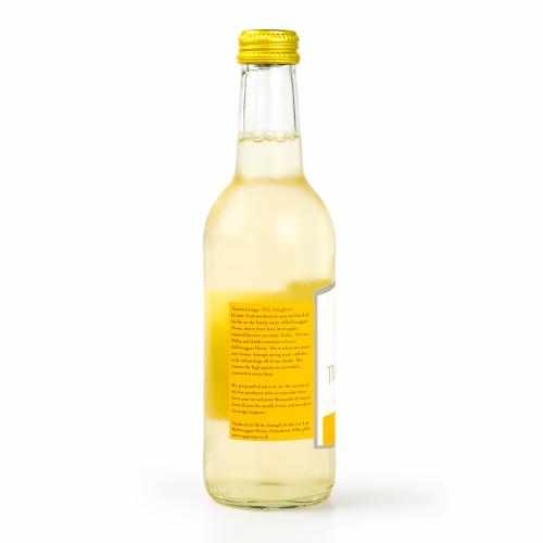 Troughtons Irish Ginger Ale 24x330ml