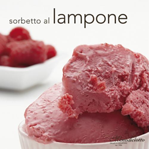Raspberry Sorbet Gelato 1x5ltr