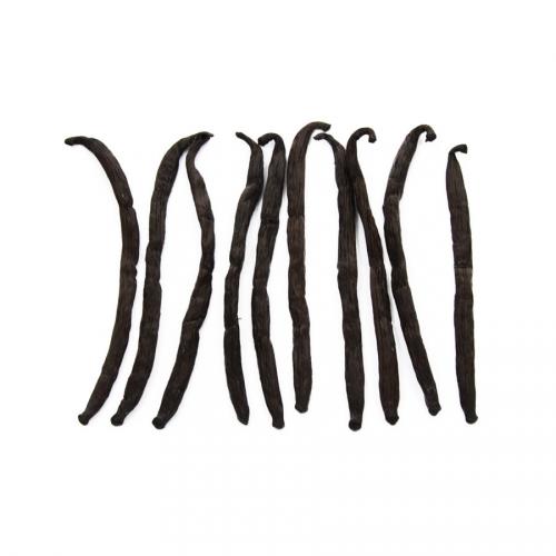 Vanilla Pods 10x1 