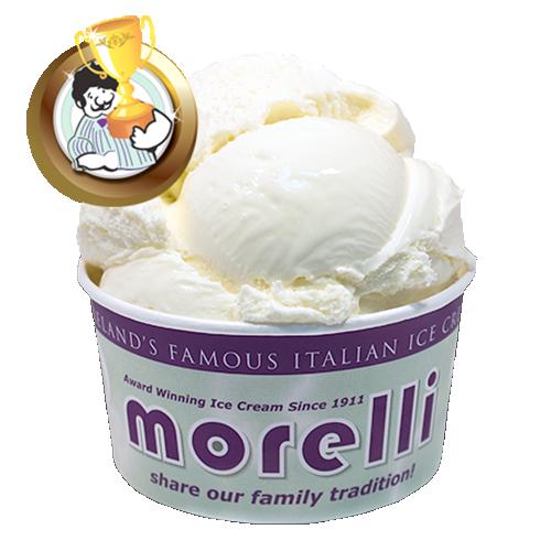 Morelli Vanilla Ice Cream 4x4ltr