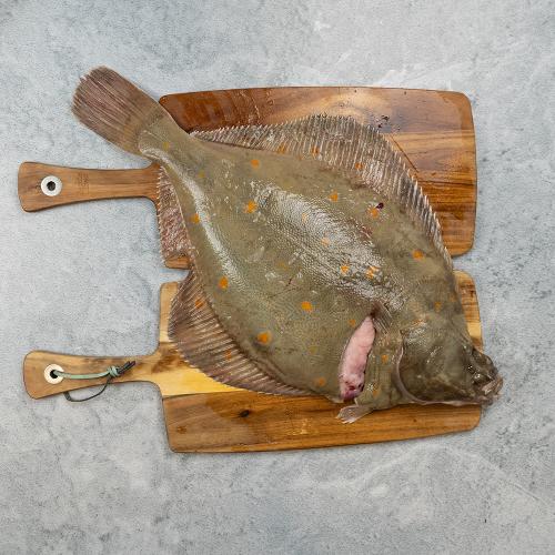 Keenan Seafood Whole Plaice Skin On Large 800-1200g (Each)