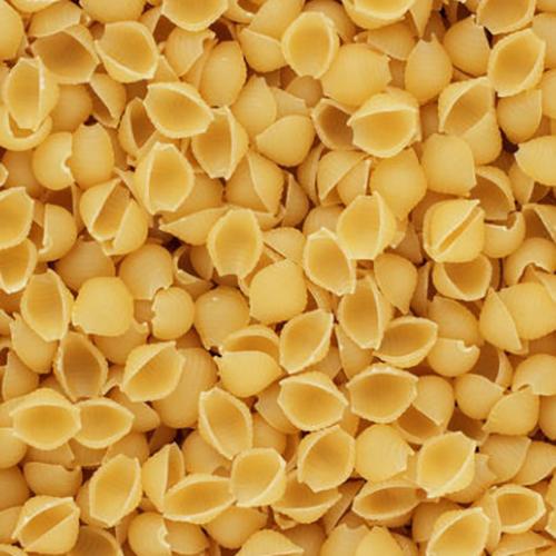 Pasta Shells Small 1x15kg