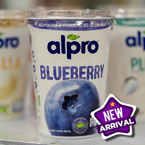 Alpro Big Pot Blueberry 6x500g