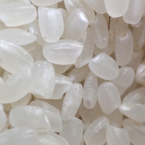 Premium Japonica Sushi Rice 1x25kg
