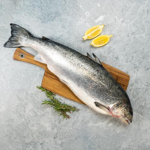 Keenan Seafood Whole Salmon 3/4kg (Each)