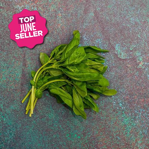 First 4 Fruit Basil 200g Each