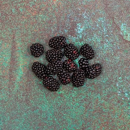 First 4 Fruit Blackberries 125g Each