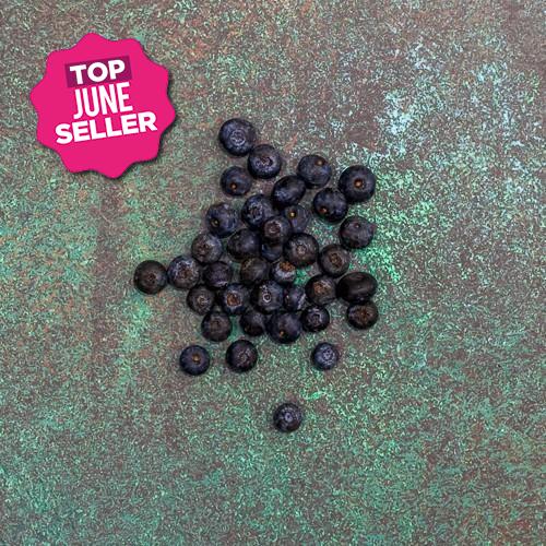 First 4 Fruit Blueberries 125g Each