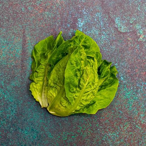 Frist 4 Fruit Baby Gem Lettuce 10x2 Pack