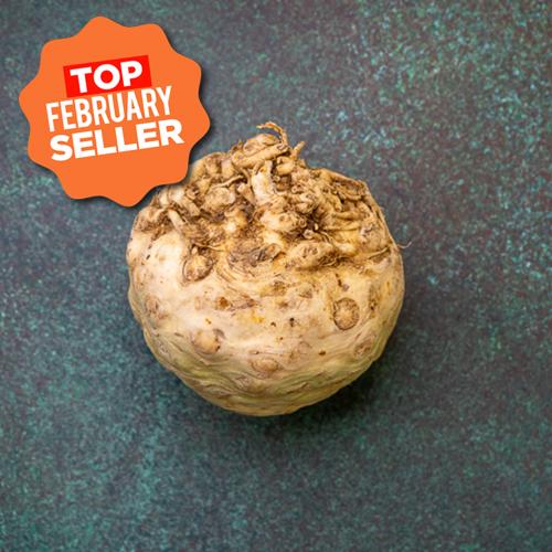 First 4 Fruit Celeriac Each