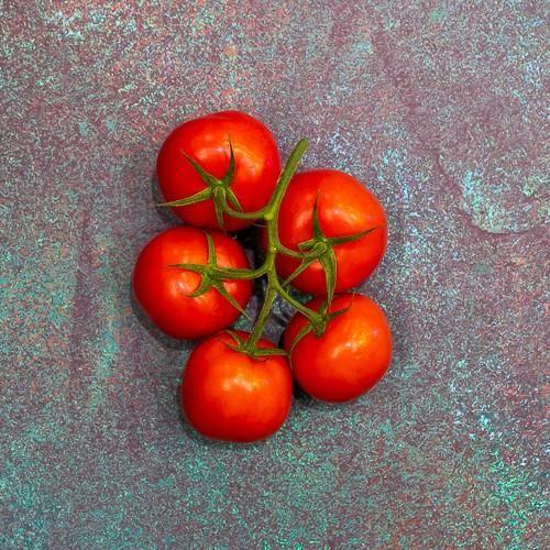 First 4 Fruit Vine Tomatoes 1x500g (Pre Pack)