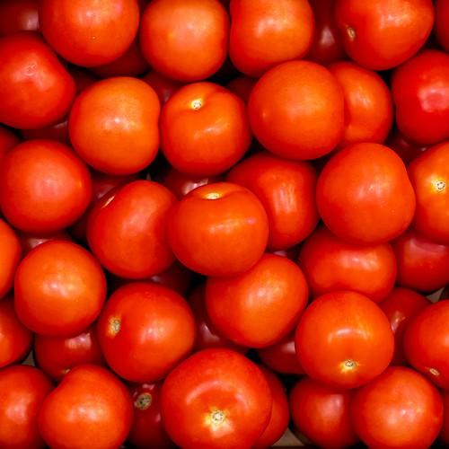 First 4 Fruit Round Tomatoes (Per Kg)