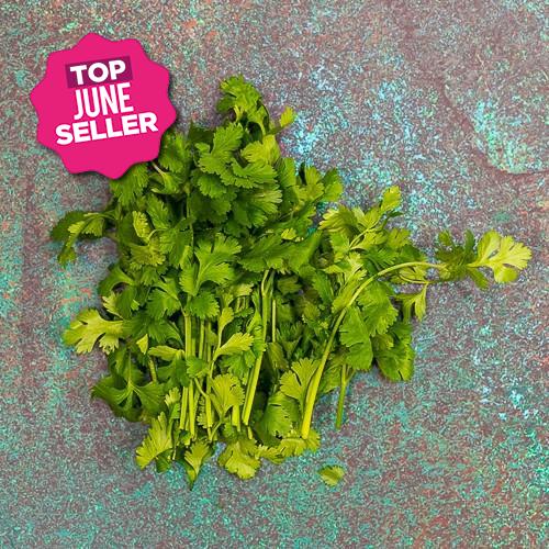 First 4 Fruit Coriander 200g (Each)
