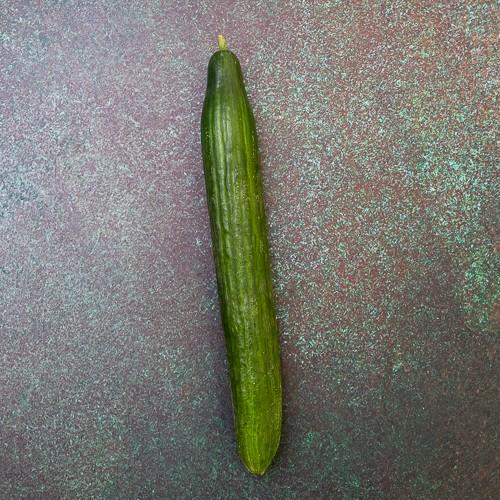 First 4 Fruit Cucumber 14x1