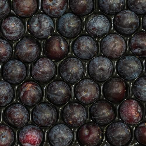 First 4 Fruit Red Plums Loose (5kg)