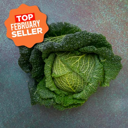 First 4 Fruit Savoy Cabbage (Each)