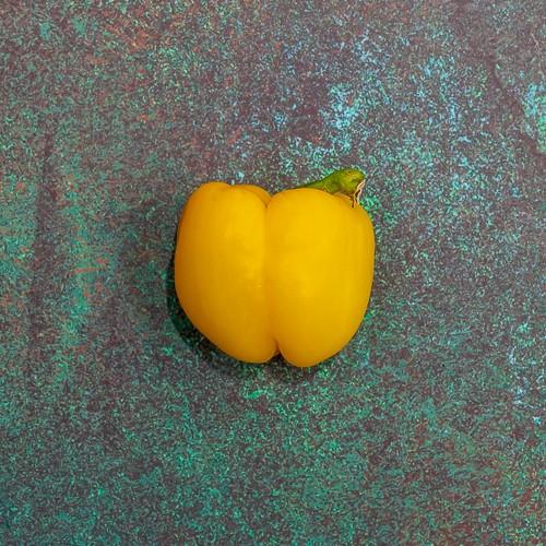 First 4 Fruit Yellow Pepper (Per Kg)