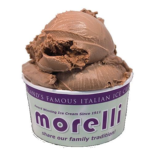 Morelli Chocolate Ice Cream 4x4ltr