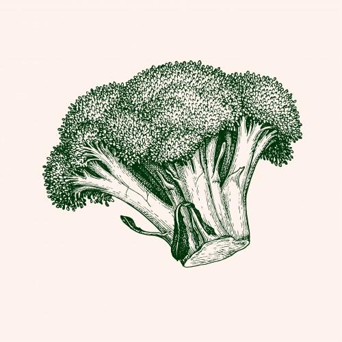 Broccoli & Cauliflower