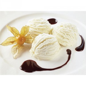 Paganini Vanilla Ice Cream 2x4ltr