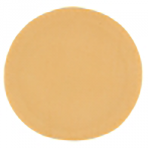 Golden Bake 9" Unbaked Puff Pastry Disc 50x165g