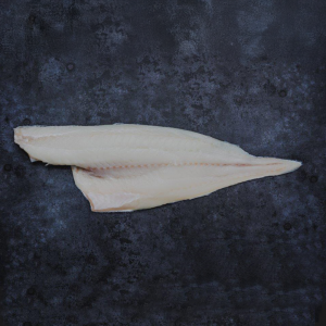 Frozen At Sea Haddock Fillets (Skinless,PBI) 2x9kg (5-8oz)