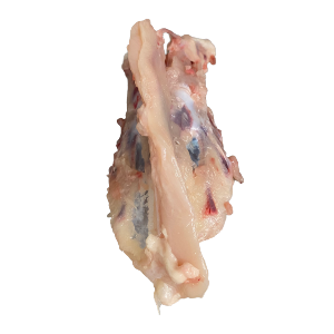 Fresh Chicken Carcasses 1x10kg