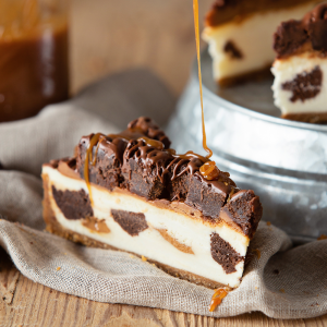 Brownie Bite Cheesecake 2x14ptn