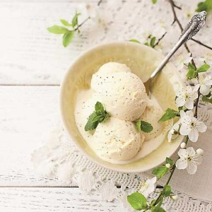 Vanilla Bean Vegan Ice Cream 2x5ltr VG