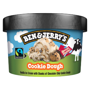 Ben & Jerry's Choc Fudge Brownie 100ml Tubs 1X12