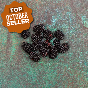 First 4 Fruit Blackberries 125g Each