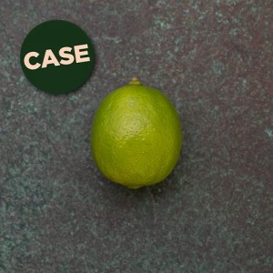 First 4 Fruit Limes 48