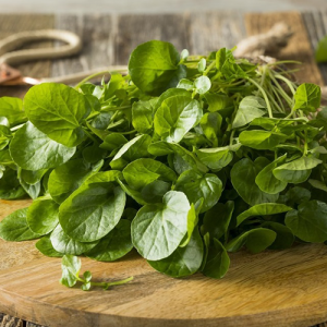 First 4 Fruit Watercress (Each)