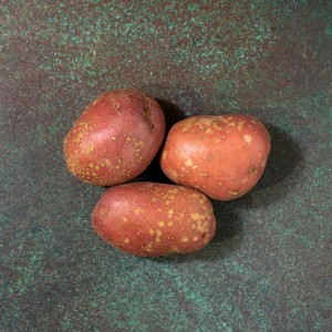 First 4 Fruit Red Rooster Potatoes 10kg