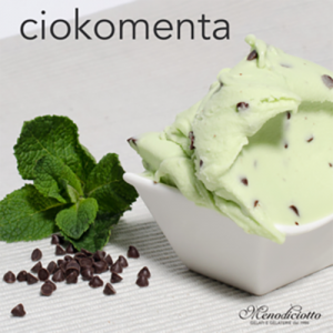 Mint Chocolate Gelato 1x5ltr