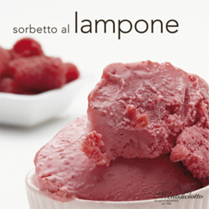 Raspberry Sorbet Gelato 1x5ltr