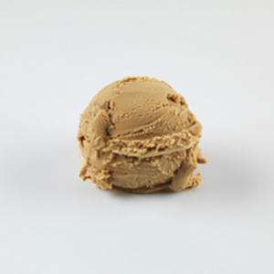 Salted Caramel Gelato 1x5ltr