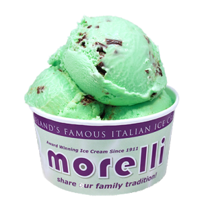 Morelli Mint Ice Cream 4x4ltr